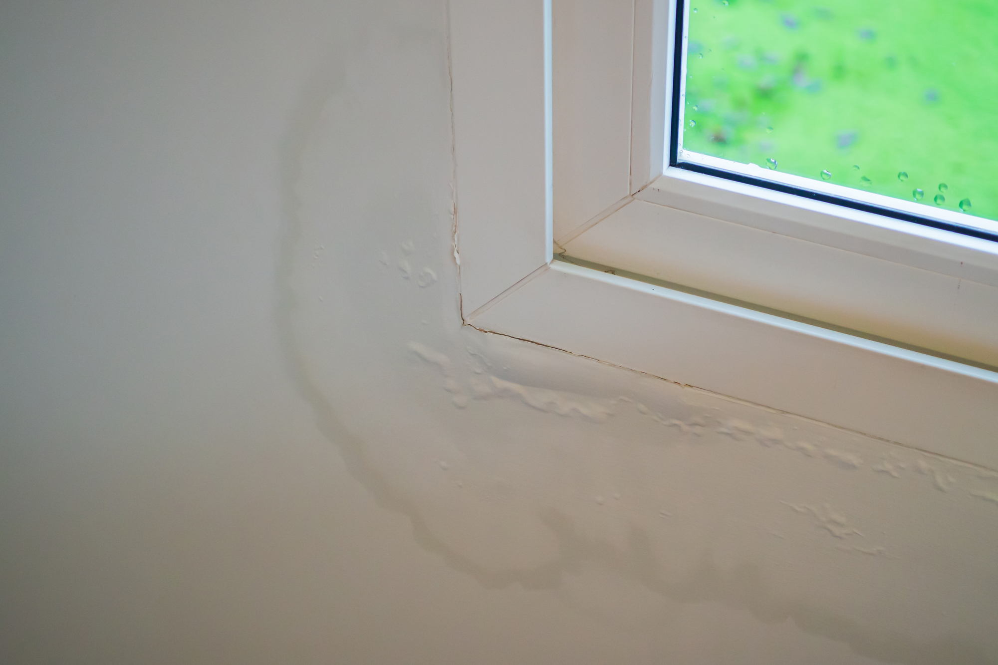 Image of a leaky window with water damage